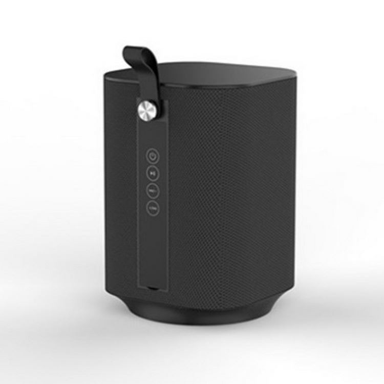 U-disk casero inalámbrico FM del sistema de Presidente del Presidente de alta fidelidad portátil de 5W Bluetooth TF aux.