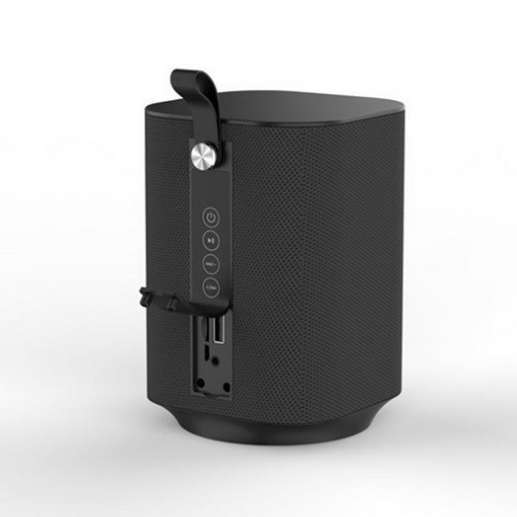 U-disk casero inalámbrico FM del sistema de Presidente del Presidente de alta fidelidad portátil de 5W Bluetooth TF aux.