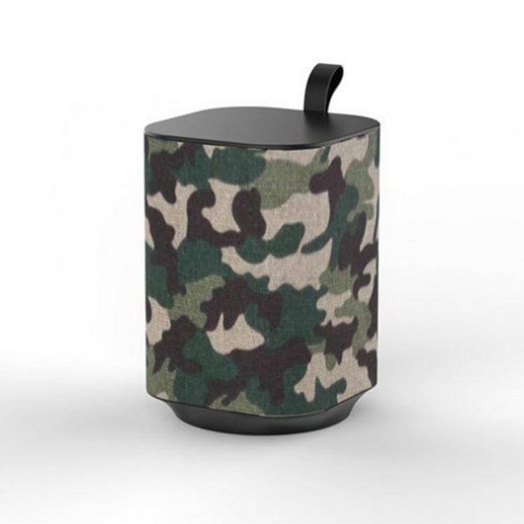 U-disk casero inalámbrico FM del sistema de Presidente del Presidente de alta fidelidad portátil de 5W Bluetooth TF aux.
